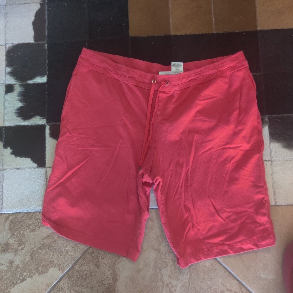 Danskin shorts size 2xl